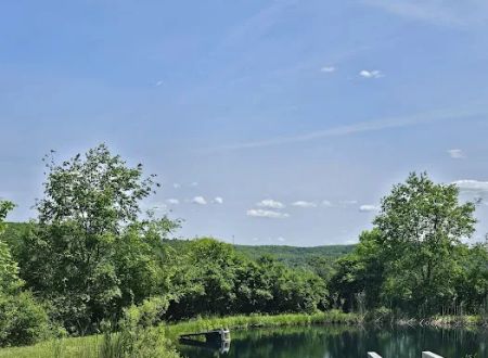Oasis in the Allegheny's camping