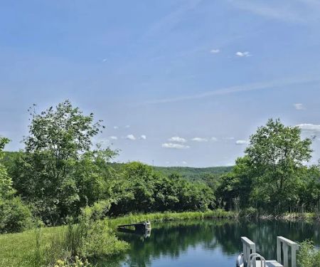Oasis in the Allegheny's camping