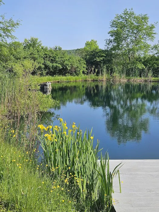 Oasis in the Allegheny's camping Picture 2