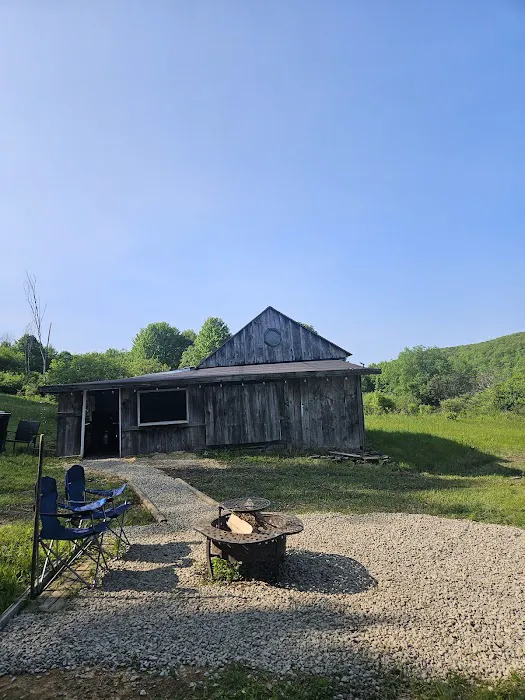 Oasis in the Allegheny's camping Picture 9