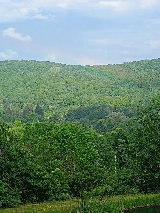 Oasis in the Allegheny's camping Picture 4