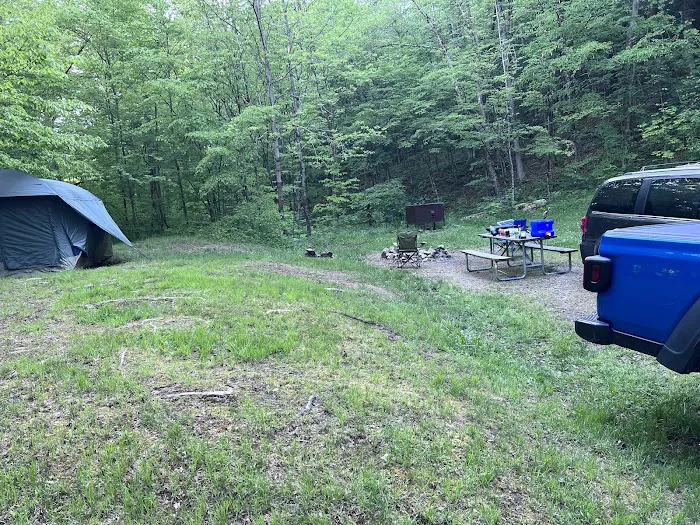 Diehl Cabins/Campsites, Allegany State Park Picture 4