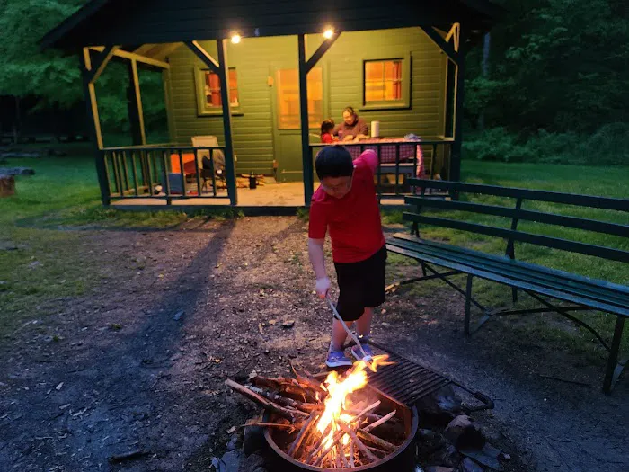Diehl Cabins/Campsites, Allegany State Park Picture 10