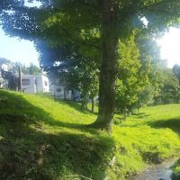 Tom's Buckhannon RV Park ico