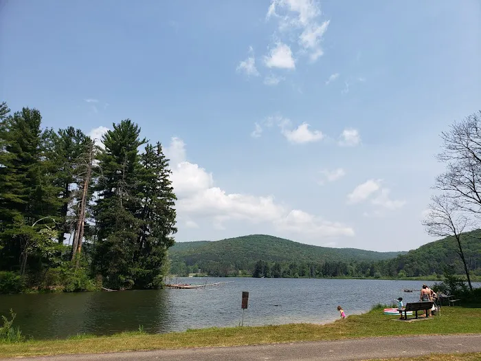 Allegeny State Park - Redhouse Loop Campground Picture 5