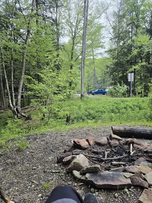 Allegeny State Park - Redhouse Loop Campground Picture 4