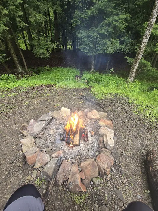 Allegeny State Park - Redhouse Loop Campground Picture 7