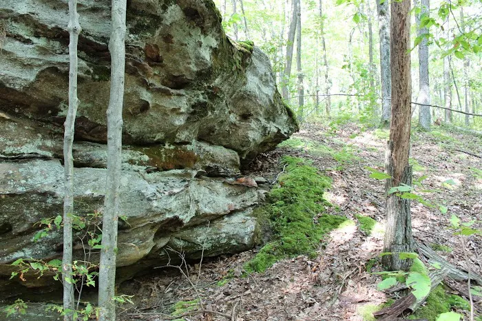 Tracy Ridge Campground Picture 4