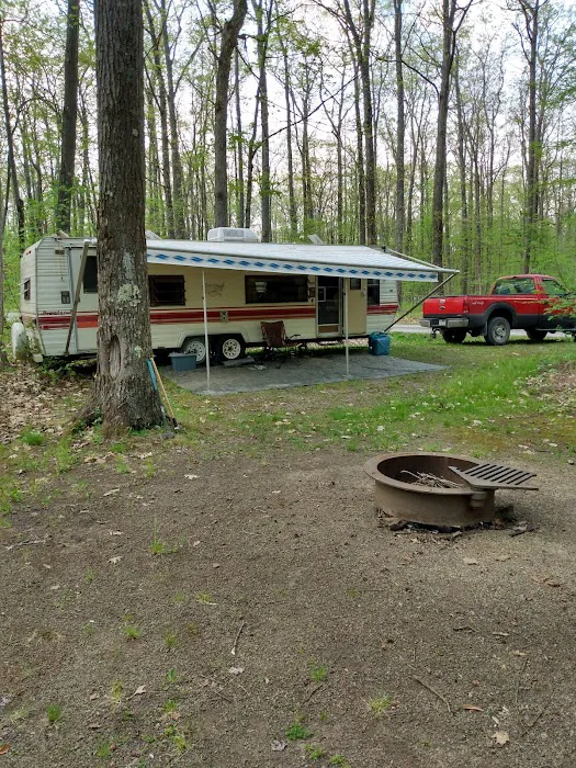 Tracy Ridge Campground Picture 8