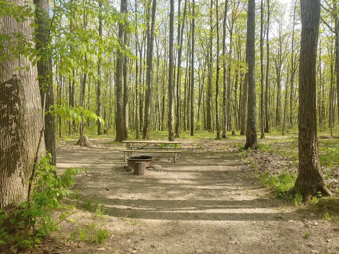 Tracy Ridge Campground Picture 6