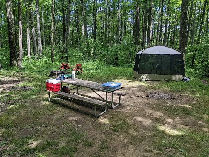 Tracy Ridge Campground Picture 10