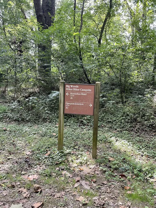 Big Woods Campsite Picture 6