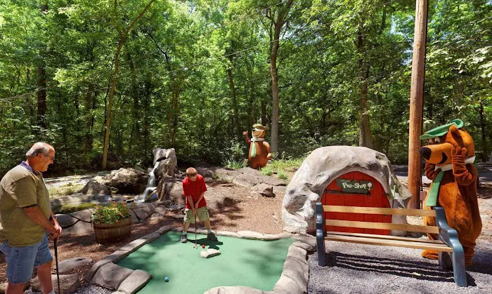 Jellystone Park™ Williamsport Picture 10
