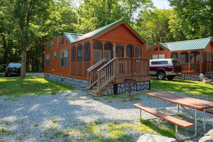 Jellystone Park™ Williamsport Picture 6