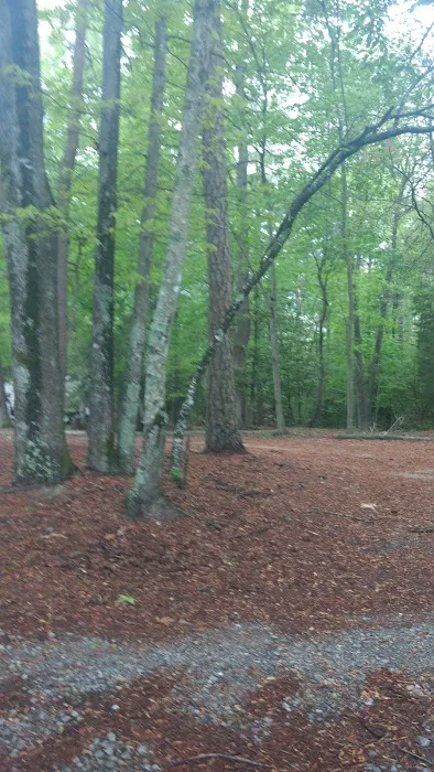 R & D Family Campground Picture 9