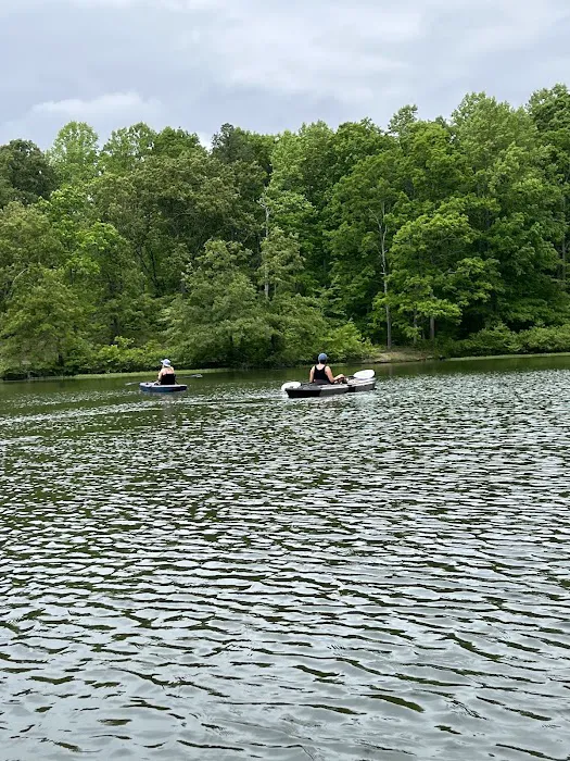 Rocky Branch Marina & Campground Picture 4