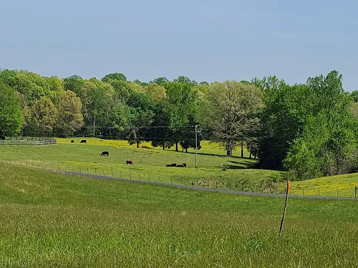Christopher Run Campground Picture 3