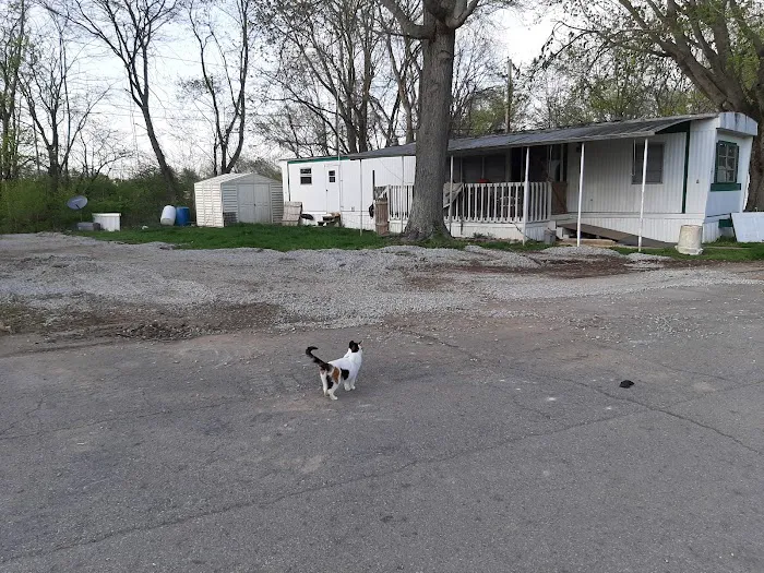Carvel Manor Slums Picture 1