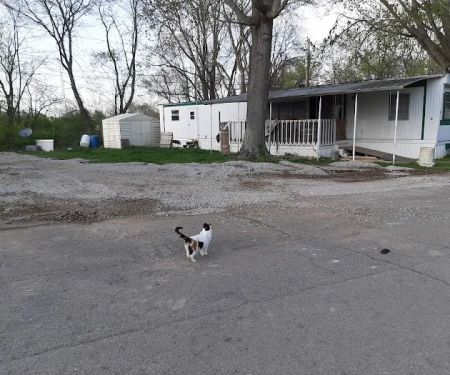 Carvel Manor Slums