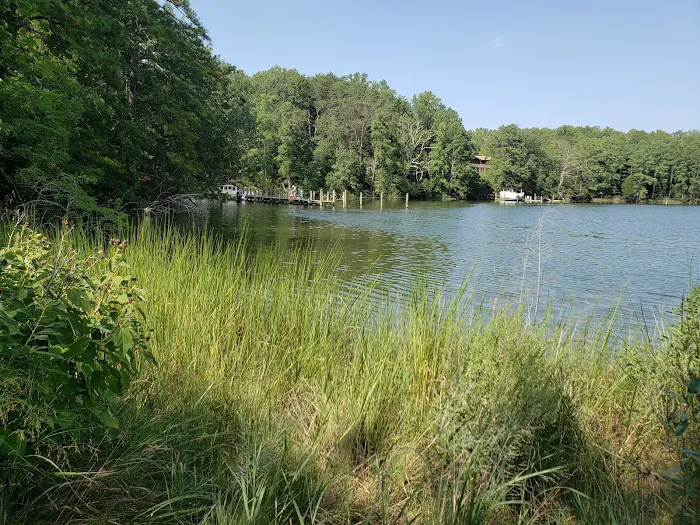 Glebe Point Campground Picture 4
