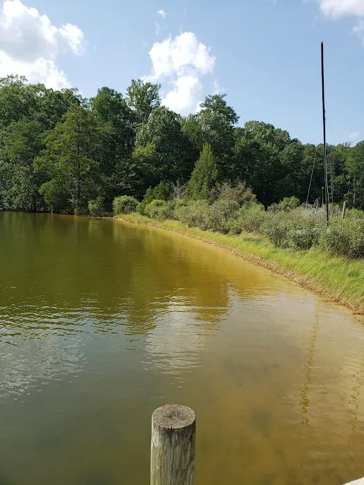 Glebe Point Campground Picture 5