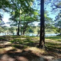 Chesapeake Bay Camp Ground ico
