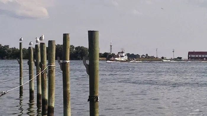 Chesapeake Bay Camp Ground Picture 8