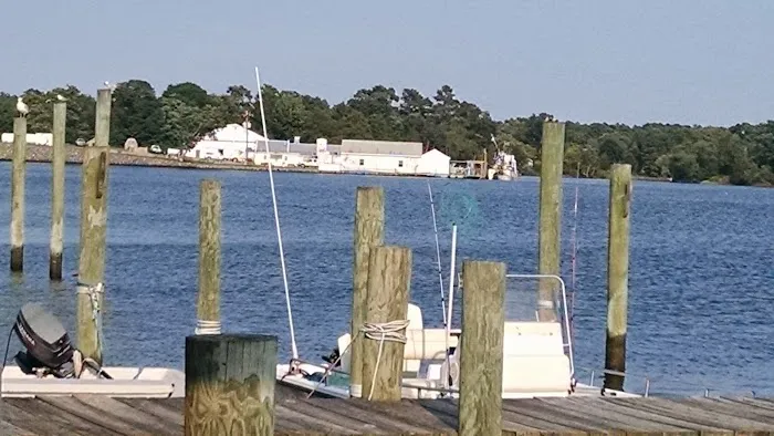 Chesapeake Bay Camp Ground Picture 3