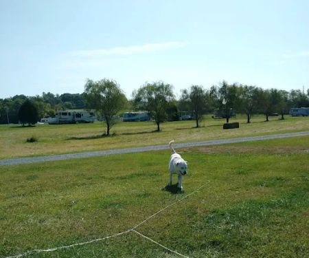 Nahkeeta Campsite LLC
