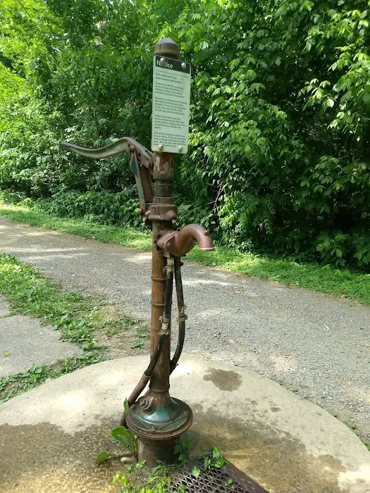 Opequon Junction Campsite Picture 4