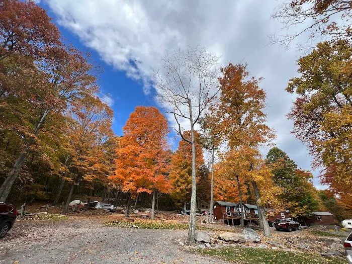 Timber Run Campground Picture 9