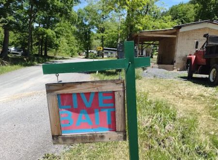 Rough and ready campground and live bait