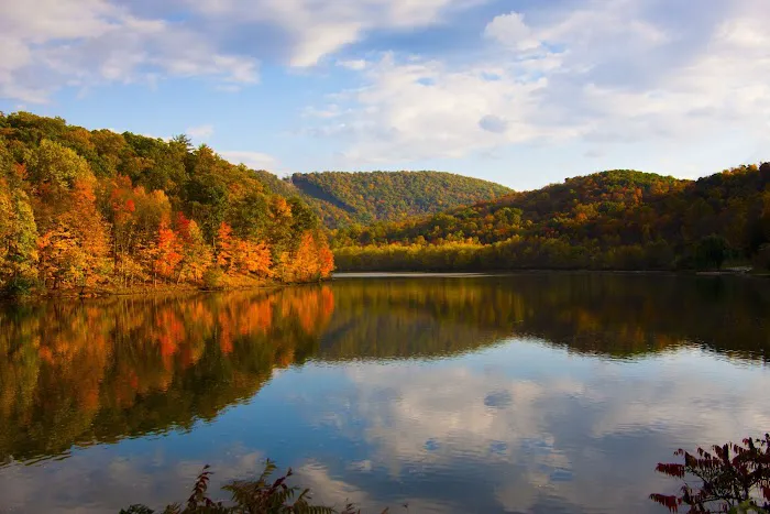 Raystown Ridge Camp Picture 3