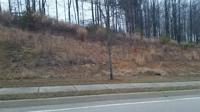 East Park Mobile Home Village Picture 7
