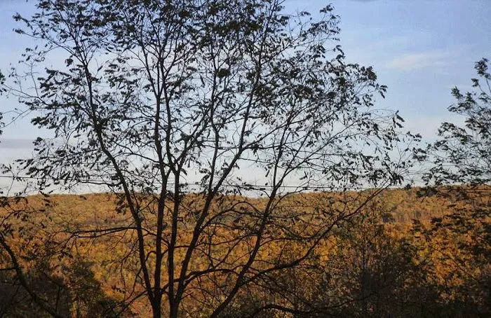 Buck's Campground Picture 2