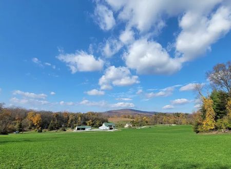 Glamping Clear Spring Maryland 3-Cabin Campground
