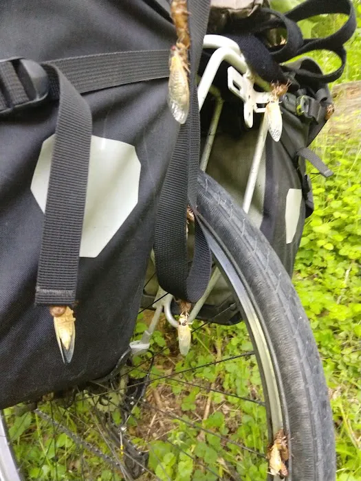 North Mountain Hiker Biker Campsite Picture 9