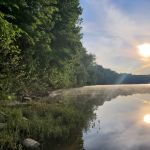 McCoys Ferry Campground