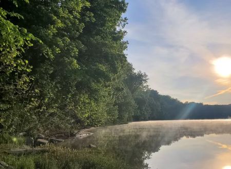 McCoys Ferry Campground