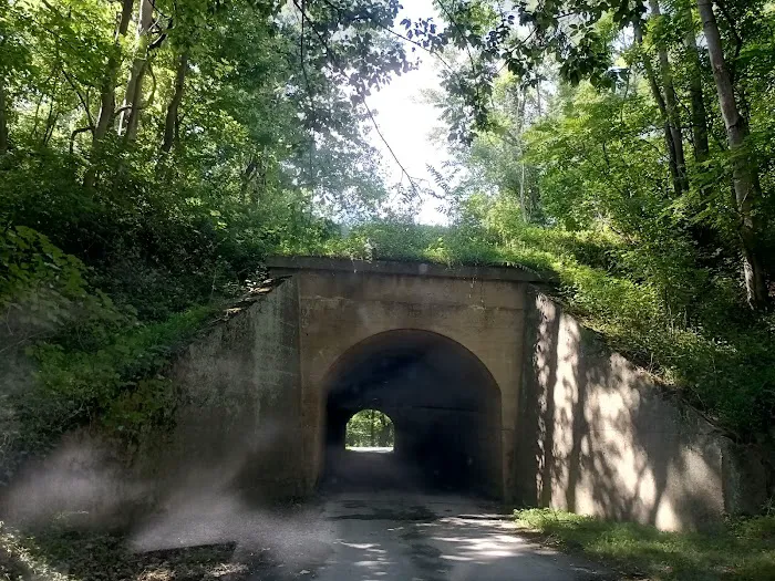 McCoys Ferry Campground Picture 5