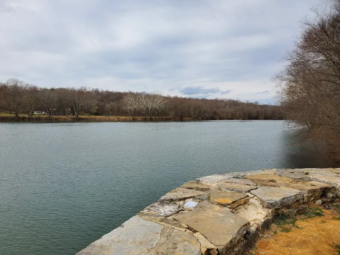 McCoys Ferry Campground Picture 7