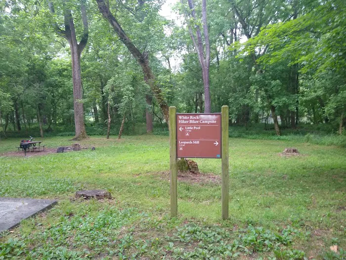 White Rock Hiker-Biker Campsite Picture 4
