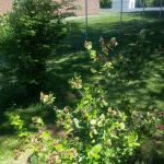Fairborn Mobile Home Inc 55 +
