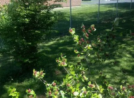 Fairborn Mobile Home Inc 55 +