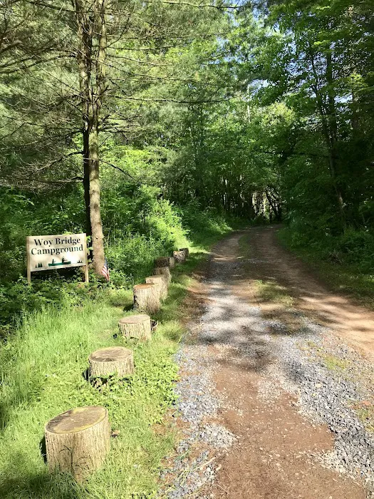 Woy Bridge Campground Picture 10