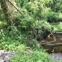 Woy Bridge Campground ico