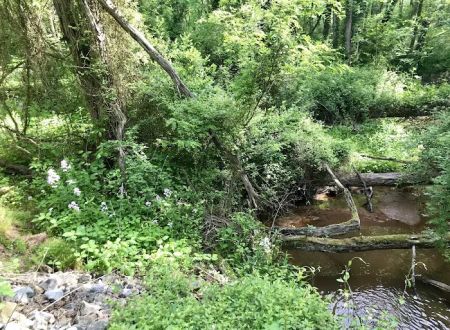 Woy Bridge Campground