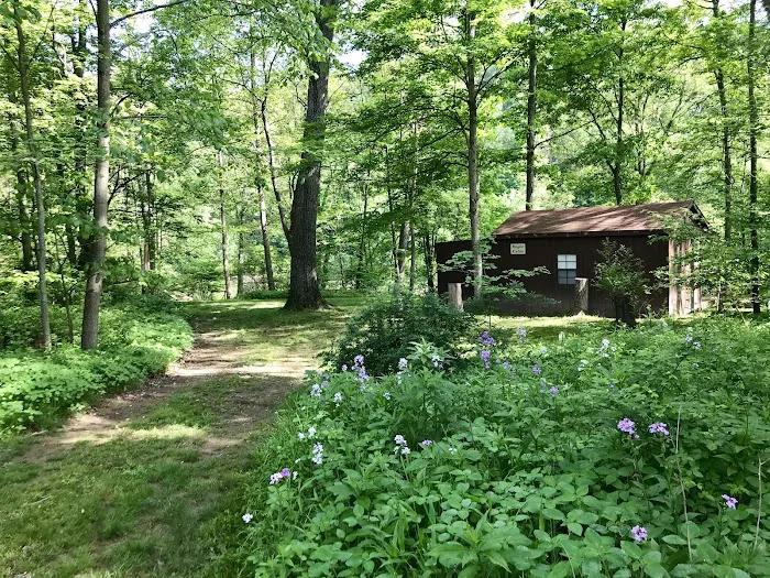 Woy Bridge Campground Picture 4