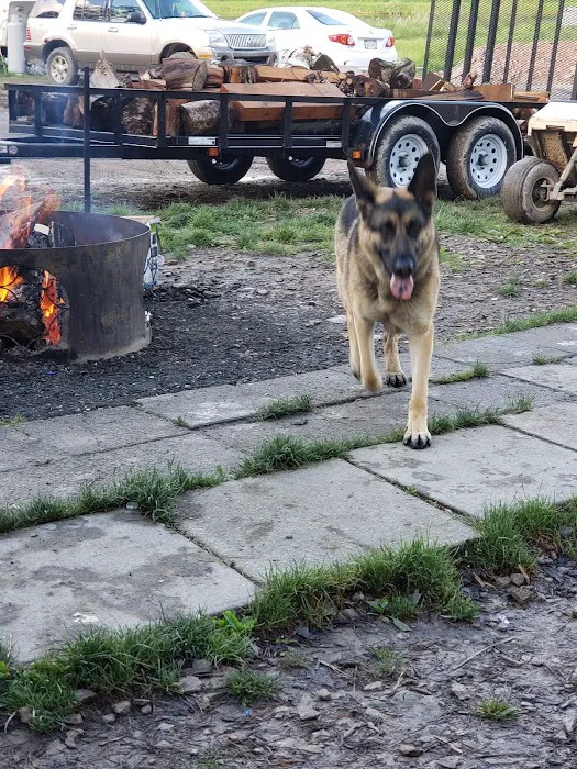 Sawmill Campground Picture 7