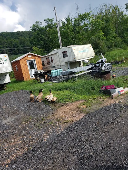 Sawmill Campground Picture 4
